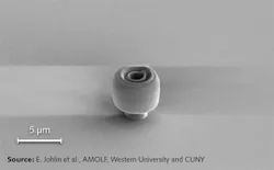 Content Dam Lfw Print Articles 2019 02 1902lfw Nb F2 Content Dam Lfw Print Articles 2019 02 1902lfw Nb F2