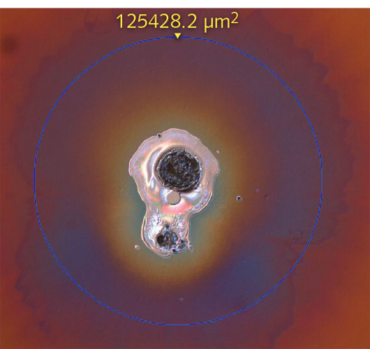 FIGURE 1. Shown is an example of laser-induced damage on the surface of an optic imaged using differential interference contrast (DIC) microscopy.