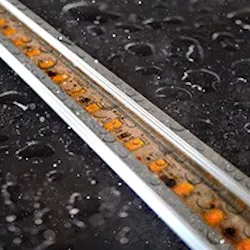 Content Dam Lfw Online Articles 2019 04 1551211288504 Content Dam Lfw Online Articles 2019 04 1551211288504