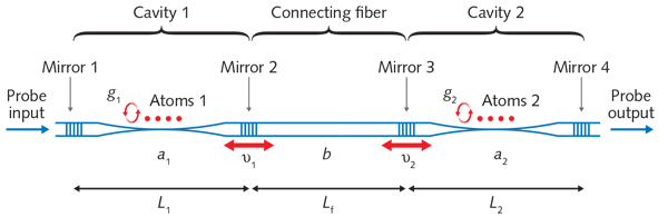 In the coupled-cavity QED system, cavities 1 and 2 of length L1 and L2 (with coupling rates v1 and v2 as well as atom-cavity coupling rates of g1 and g2, respectively) couple to a length of fiber Lf; measurements are made from left to right using a probe beam.
