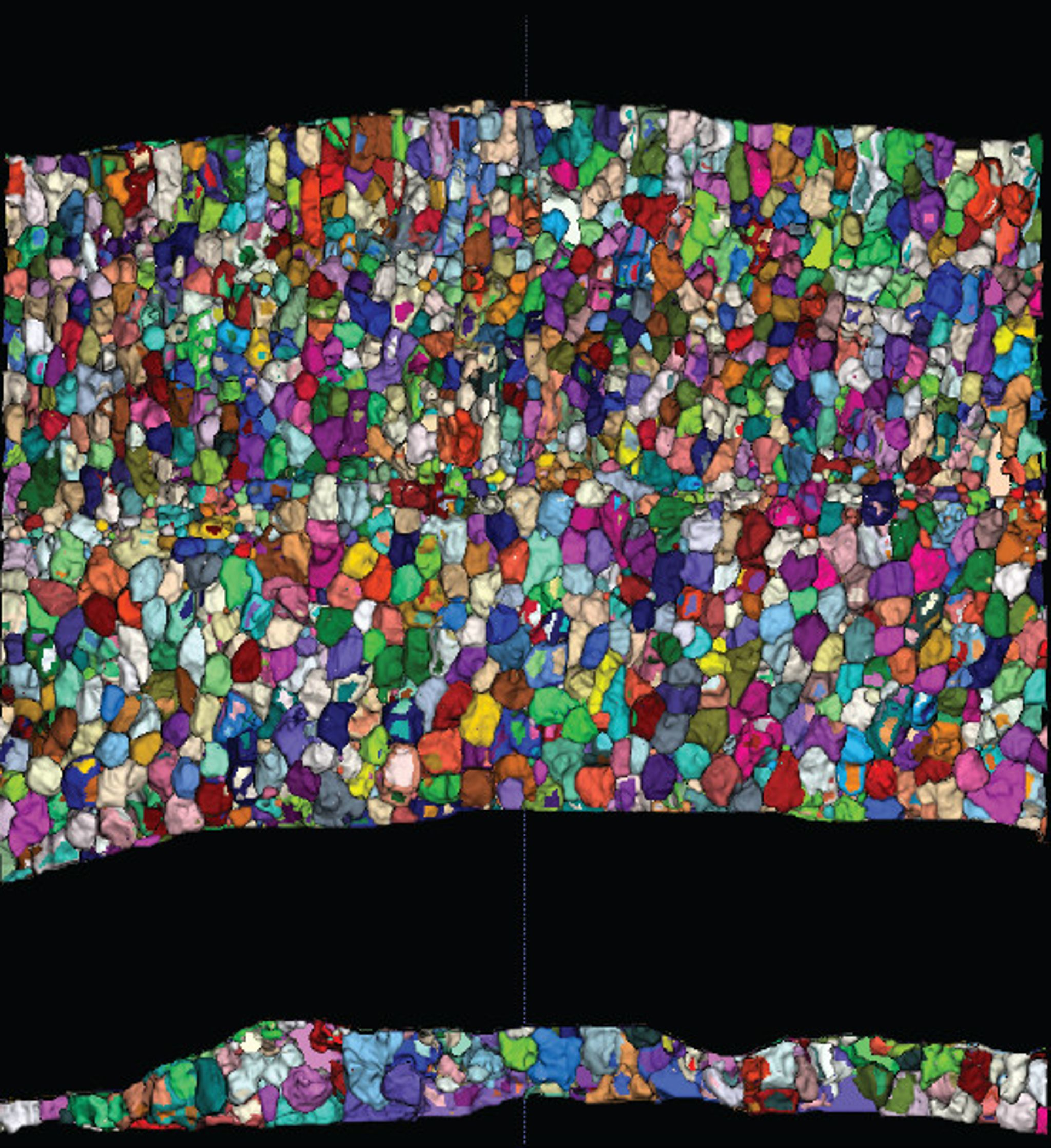 Saber Fish 3 D Cell Segmentation 5ce4512264a03