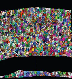 Saber Fish 3 D Cell Segmentation 5ce4512264a03 Saber Fish 3 D Cell Segmentation 5ce4512264a03