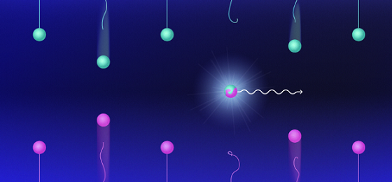 Light emission resulting from a mutual annihilation of electrons and holes is the operating principle of semiconductor lasers.