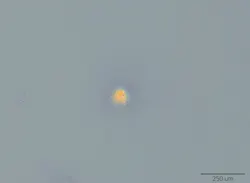 FIGURE 3. This damage, acquired at a 532 nm wavelength, is in the form of a defect cluster. FIGURE 3. This damage, acquired at a 532 nm wavelength, is in the form of a defect cluster.