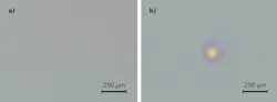 FIGURE 2. An example of laser-induced damage seen on a 250 μm scale shows small red and purple marks from a 532 nm laser after 1000 shots; these are most likely nonpropagating (a). It also shows a plasma scald seen through a DIC microscope (b). FIGURE 2. An example of laser-induced damage seen on a 250 μm scale shows small red and purple marks from a 532 nm laser after 1000 shots; these are most likely nonpropagating (a). It also shows a plasma scald seen through a DIC microscope (b).