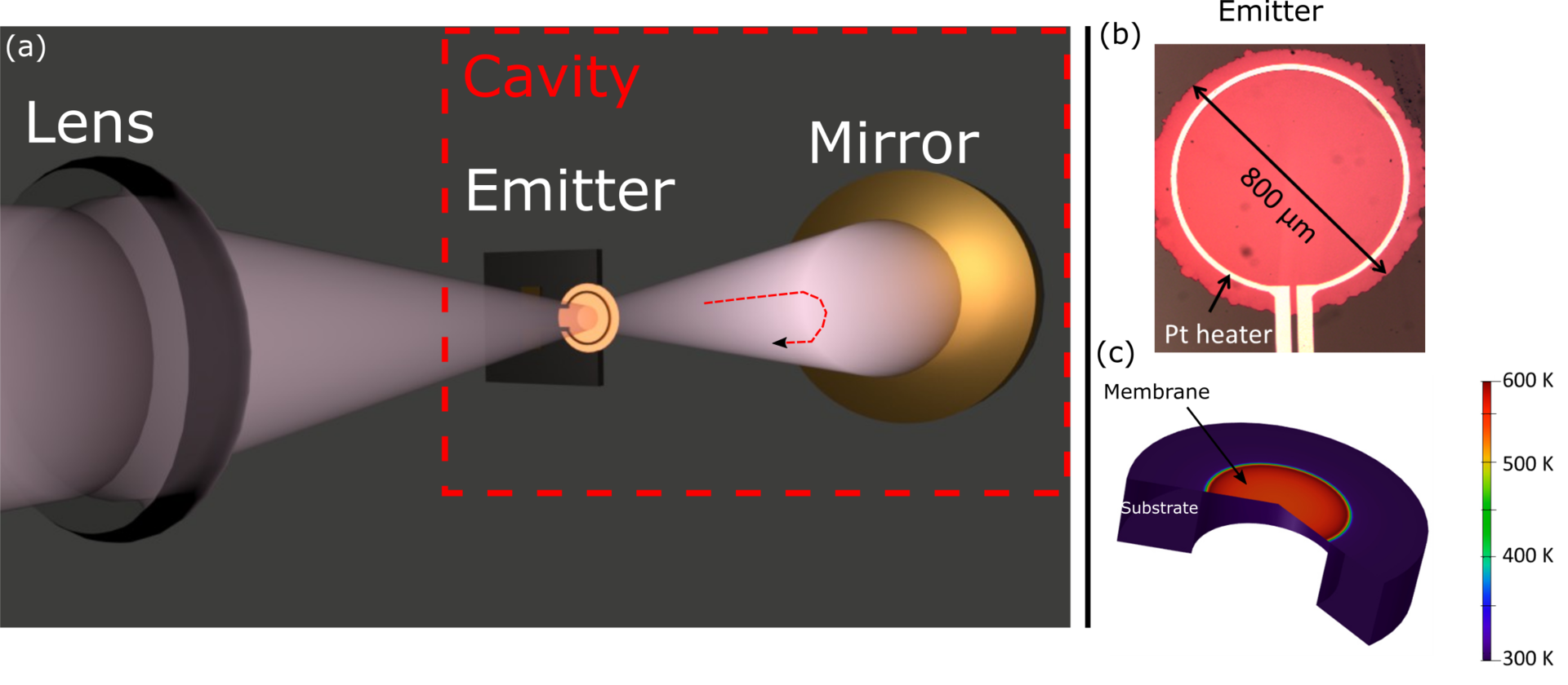 For a microcrystalline SiC thin-film thermal emitter in a cavity-coupled setup (a), a platinum heater ring (b) heats the suspended thermal emitter structure while minimizing conductive losses into the surrounding substrate. The suspended region stays hot while the temperature shifts to blue (cold) in the nonsuspended region of the substrate (c). (Image credit: Columbia University)