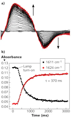 1907 Lfw Nb F5 5d38722b66843 1907 Lfw Nb F5 5d38722b66843