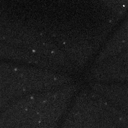 205303 Web 205303 Web