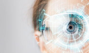 Synopsys Optical Engineering Services
