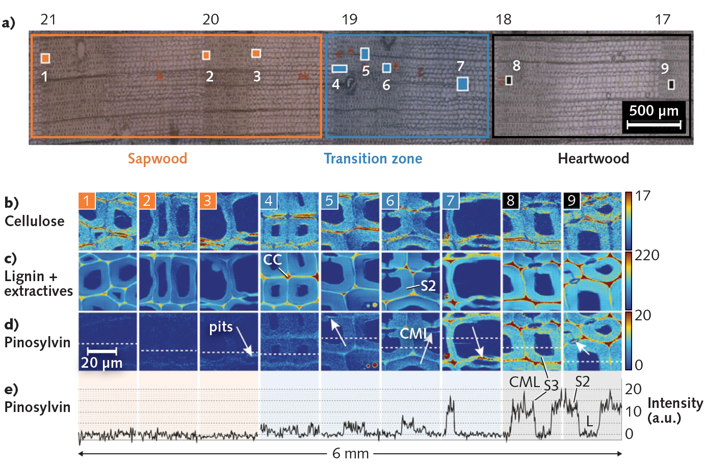 1910 Lfw Nb F3 5d9cd9a161ebc