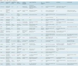 2003 Ils Sch T2 2003 Ils Sch T2