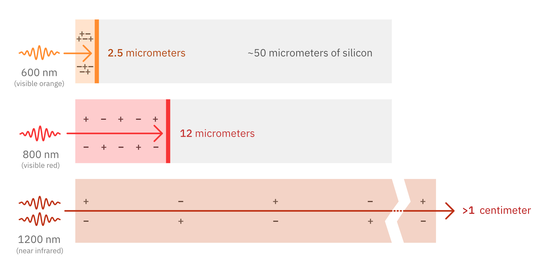 To create electric charges in silicon, researchers shine pulsed laser light onto a sample. One-photon tests using visible light only penetrate a tiny way into a silicon sample--on the order of micrometers or smaller. But the new two-photon tests using near-infrared light penetrate much, much deeper into silicon--on the order of millimeters or longer. The one-photon tests create a lot of electric charge (shown here as pluses and minuses) in a relatively small volume. By contrast, the two-photon test creates far fewer electric charges in a much larger volume.