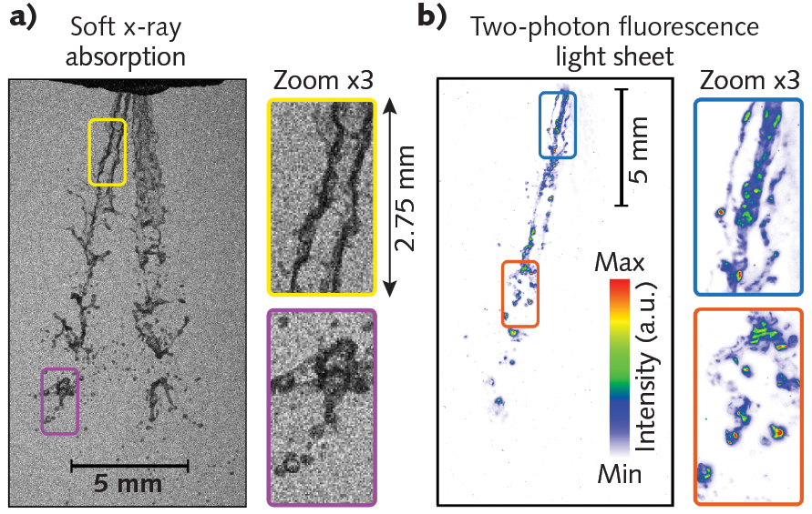 FIGURE 1. Recordings of both x-ray radiography (a) and two-photon fluorescence light-sheet (b) imaging are shown using a laser-plasma accelerator. Here, a port fuel injector is used, and the injected liquid is imaged at 850 &micro;s after the visible start of injection.