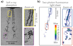 FIGURE 1. Recordings of both x-ray radiography (a) and two-photon fluorescence light-sheet (b) imaging are shown using a laser-plasma accelerator. Here, a port fuel injector is used, and the injected liquid is imaged at 850 µs after the visible start of injection. FIGURE 1. Recordings of both x-ray radiography (a) and two-photon fluorescence light-sheet (b) imaging are shown using a laser-plasma accelerator. Here, a port fuel injector is used, and the injected liquid is imaged at 850 µs after the visible start of injection.