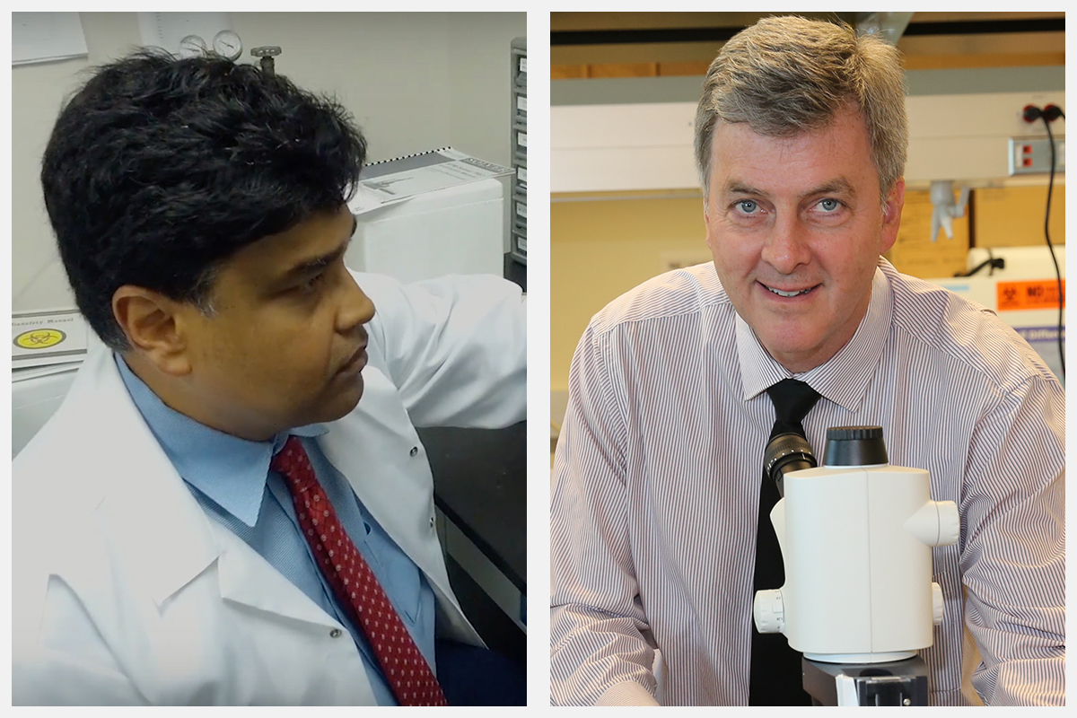 Sudiptaparks Splice Wide1200 5e9091609491a