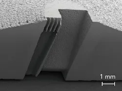 2007 Ils Rac 3 2007 Ils Rac 3