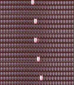 FIGURE 4. A sensitive camera operating at 10,000 frames/s captures detailed motions of a subject’s vocal cords (all images). Conventional stroboscopy captures frames at a much lower rate (bright images). FIGURE 4. A sensitive camera operating at 10,000 frames/s captures detailed motions of a subject’s vocal cords (all images). Conventional stroboscopy captures frames at a much lower rate (bright images).