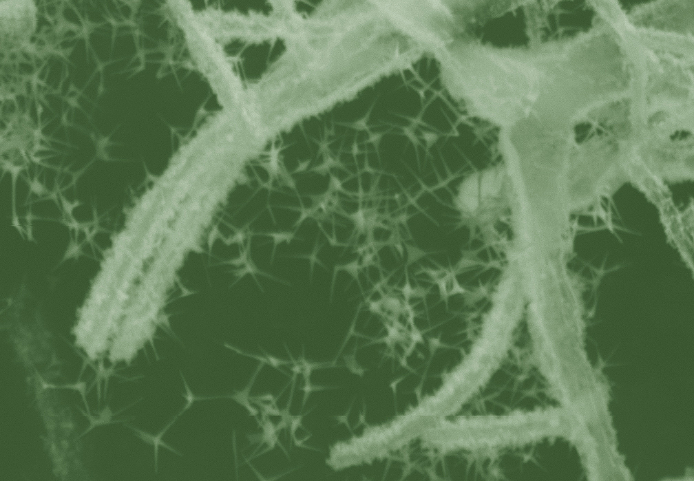 1705 Lfw Nb 4 5f493f74dd303