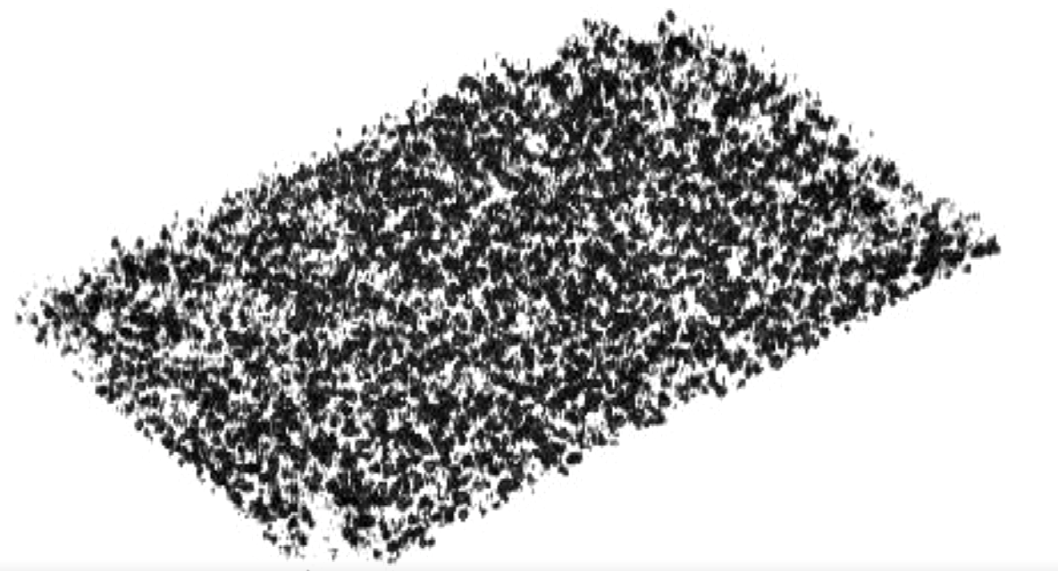 After capturing 3D OCT images of the car paint, the metallic flakes are automatically 'extracted' and measured via software algorithms; pictured are the thousands of flakes extracted from a 2.25 &times; 1.4 mm painted car-panel section.
