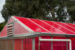 Plants grown in this luminescent solar concentrator (LSC)-equipped greenhouse fared as well or better than plants grown in conventional greenhouses; these LSCs convert about 4% of the sunlight striking them to electricity. Plants grown in this luminescent solar concentrator (LSC)-equipped greenhouse fared as well or better than plants grown in conventional greenhouses; these LSCs convert about 4% of the sunlight striking them to electricity.