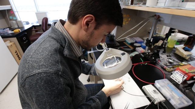 Baris Ozbay examines the tiny laser-scanning microscope.
