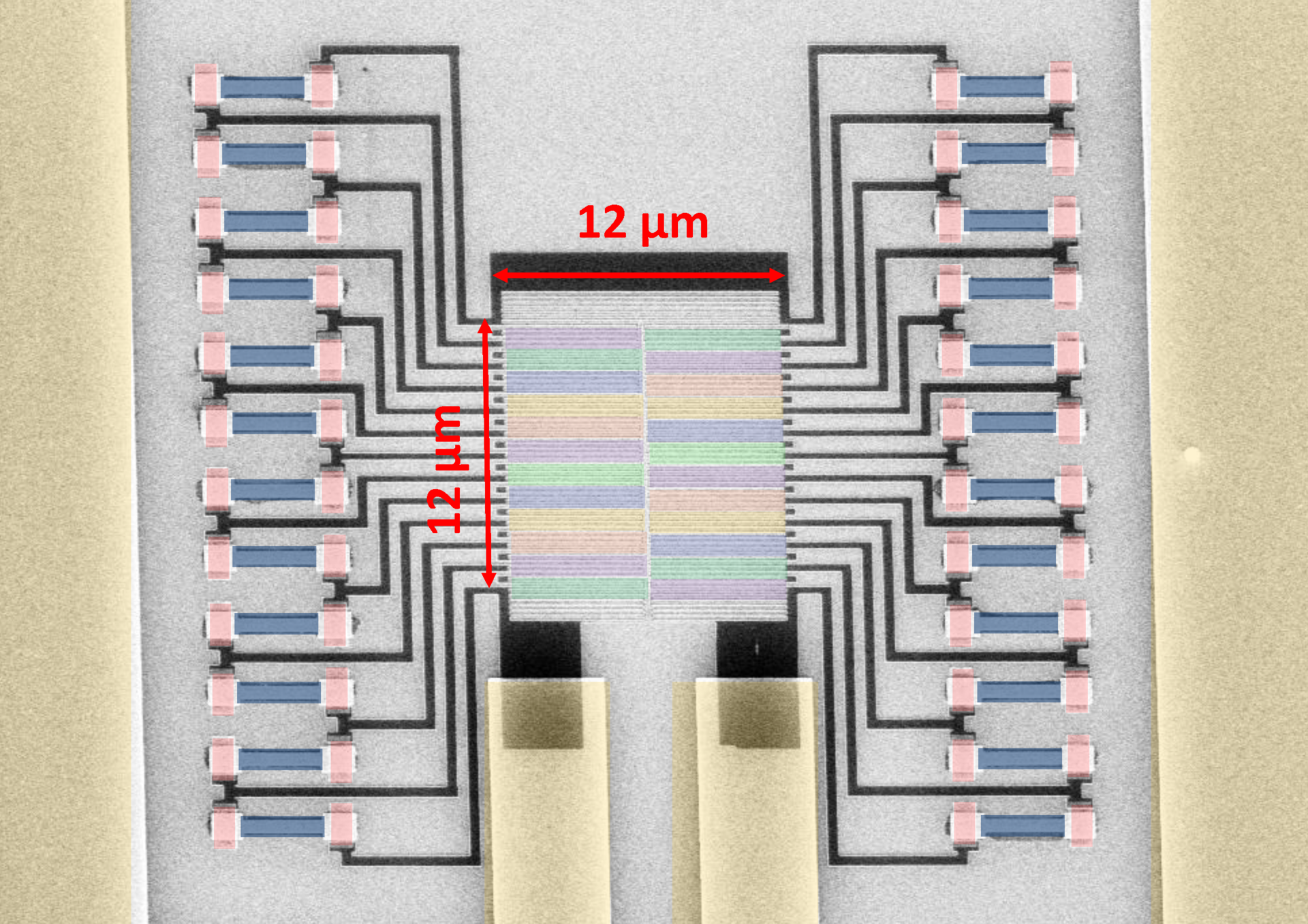 This false-color scanning electron microscopy image shows a 24-pixel photon-number-resolving-detector (PNRD), with each pixel consisting of a meandering-path niobium nitride (NbN) superconducting nanowire. The detector has applications in quantum information processing, as well as communications and NIR spectroscopy.