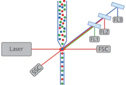 FIGURE 1. This schematic represents a traditional flow cytometer design, including typical fluidic system and illumination laser, along with FSC, SSC, and three-channel fluorescence detection. Many modern flow cytometers use multiple illumination lasers and more than three fluorescence detection channels. FIGURE 1. This schematic represents a traditional flow cytometer design, including typical fluidic system and illumination laser, along with FSC, SSC, and three-channel fluorescence detection. Many modern flow cytometers use multiple illumination lasers and more than three fluorescence detection channels.