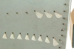 2011 Ils Gab 7 2011 Ils Gab 7