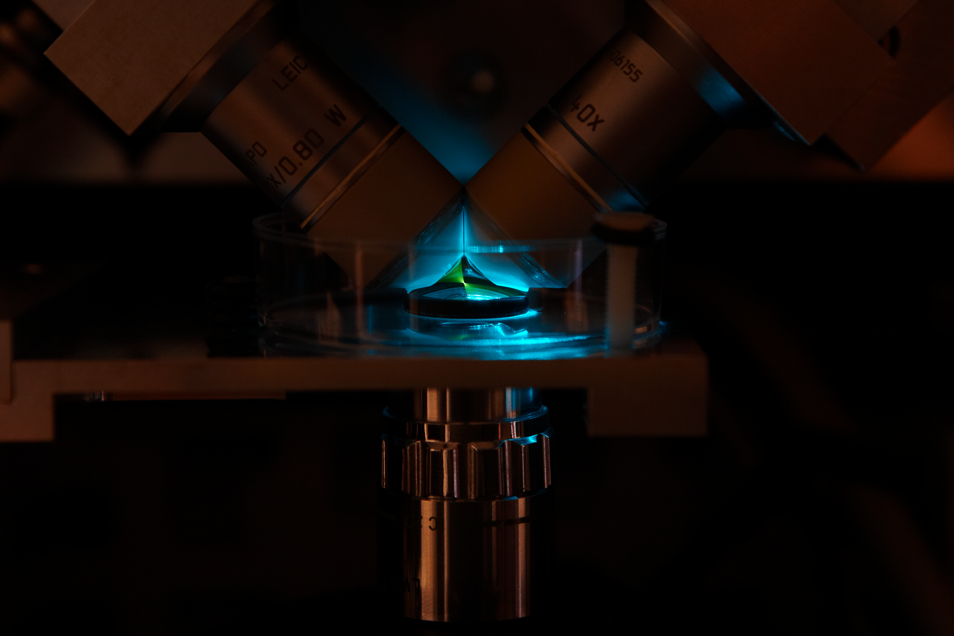 To quantify molecular interactions, researchers at the European Molecular Biology Laboratory developed this platform, which combines single-molecule spectroscopy with light-sheet microscopy.