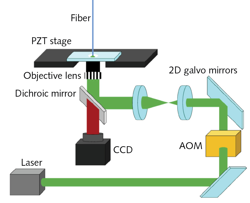 Optomechanical setup for writing a microlens on the tip of an endoscopic fiber via a two-photon process.