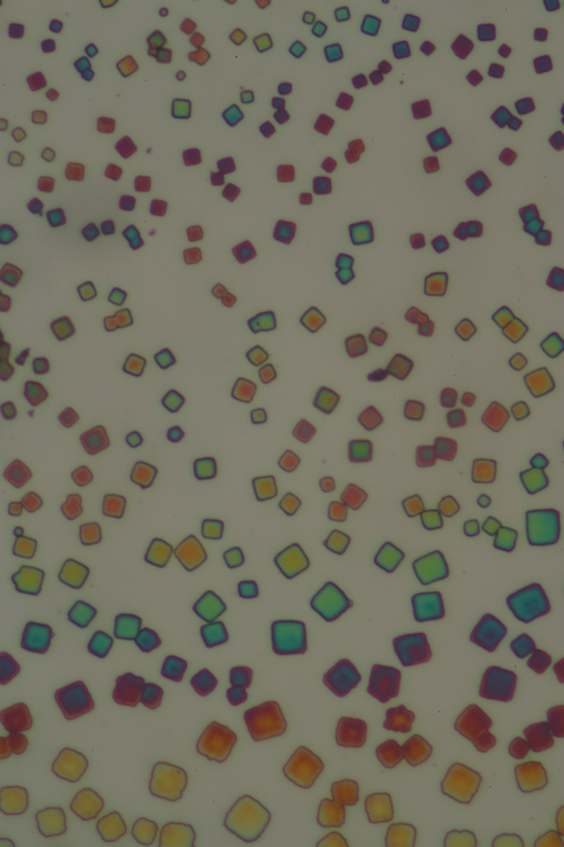 Assemblies of colloidal nanocrystals&mdash;called superlattices&mdash;are shown under white-light illumination; the superlattice structures are composed of 3D cubic-shaped collections of quantum dots with similar physical sizes and optoelectronic emission properties.