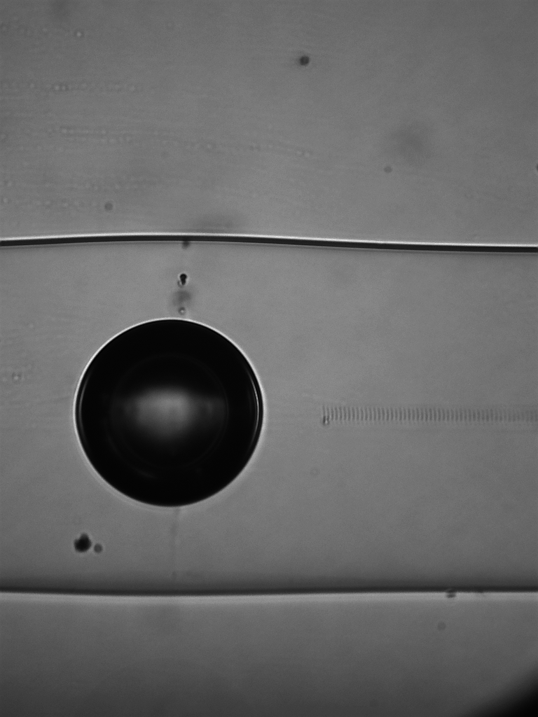 Spectral reflectance properties of the bubble-shaped Fabry-Perot cavity and an independent in-fiber grating allow this sensor to simultaneously detect tissue contact and measure the refractive index of the local environment.