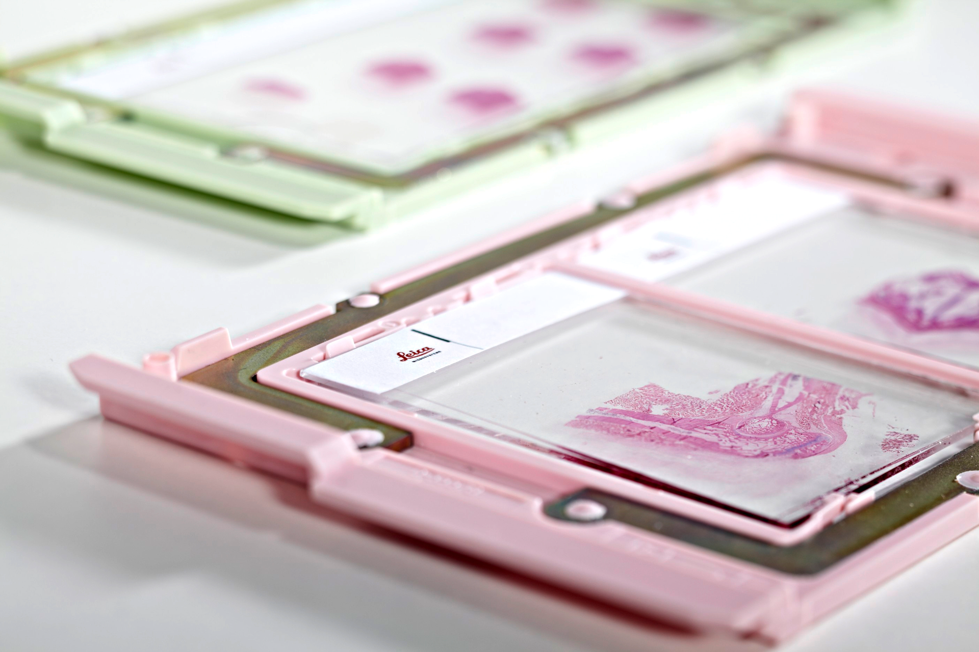 New Image 601c058f25558