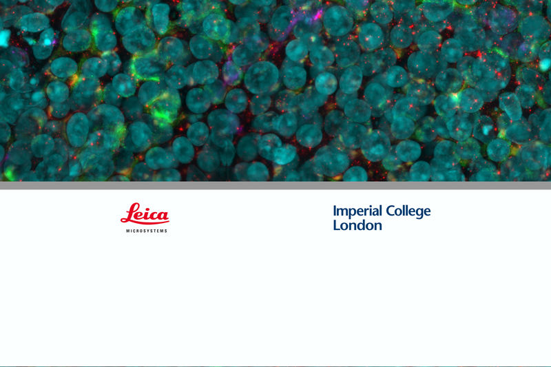 Csm Header 32 Imperial Dad5ac29f2