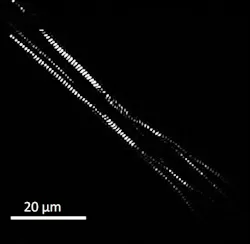 1 605cc4f81a11b 1 605cc4f81a11b