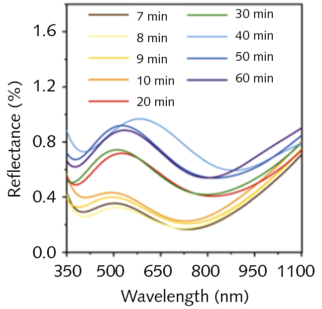 2103 Lfw Nb Z1 6047eb54c2695