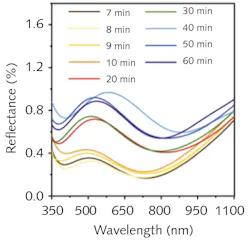 2103 Lfw Nb Z1 6047eb54c2695 2103 Lfw Nb Z1 6047eb54c2695