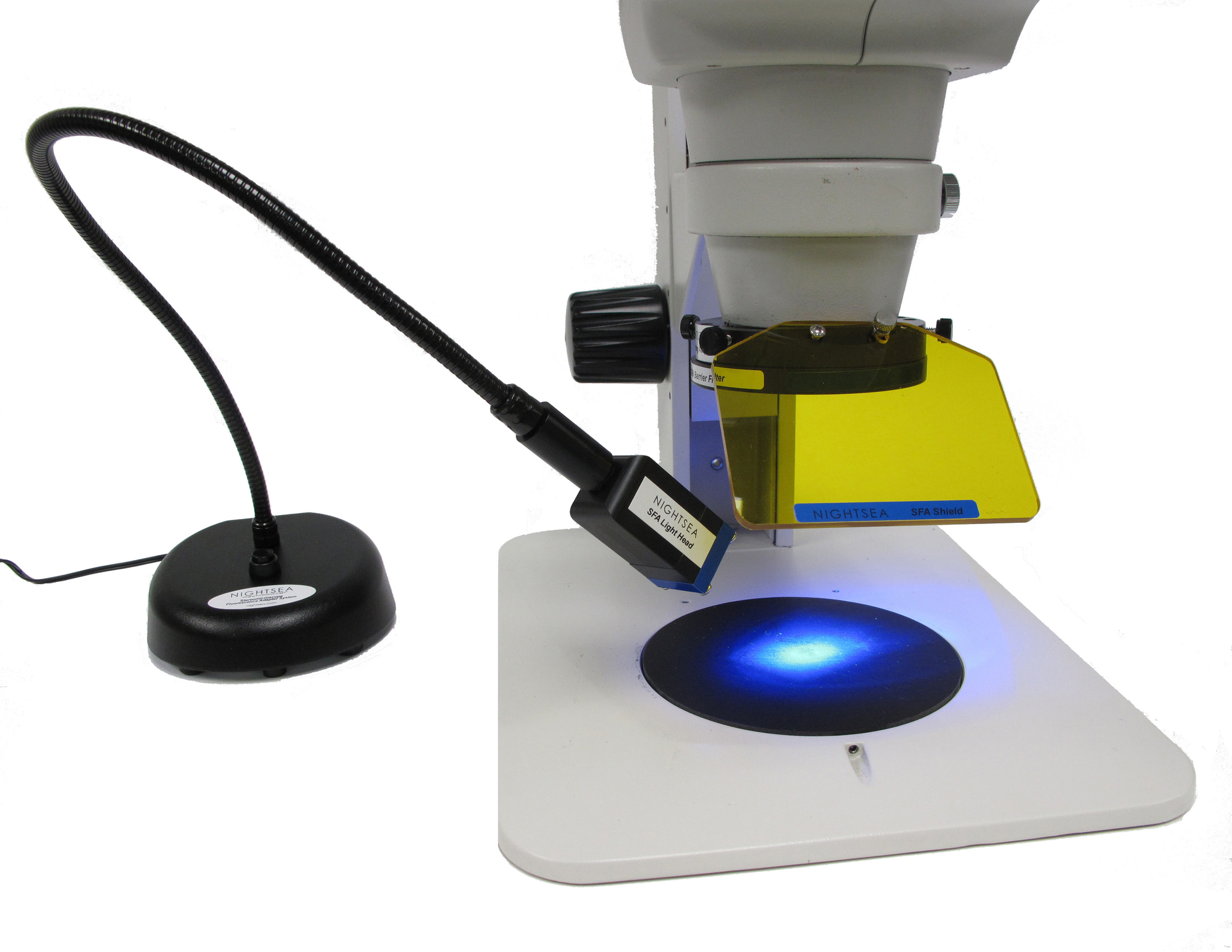 NIGHTSEA's Stereo Microscope Fluorescence Adapter (SFA) system, shown with the Royal Blue setup, lets stereomicroscope owners add fluorescence capability with very little expense.