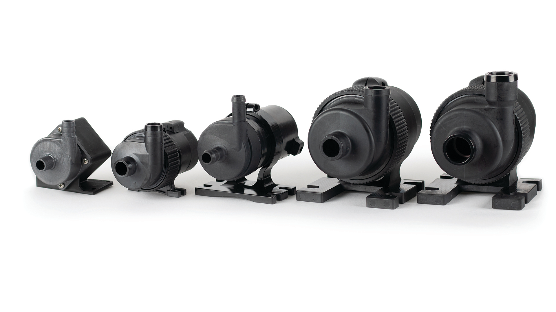 Intg Family39 1920x1080