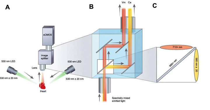 Optical Design 601add0cc30fc
