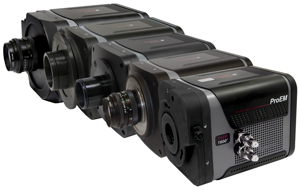 1210 Lfw Prod14 Princeton