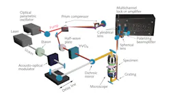Schematic representations of the optical setup; broadband vibrational imaging based on multichannel lock-in detection. Stimulated Raman scattering microscopy requires precise design. A single ultrafast pulse provides the Stokes pulse and sources a broadband pulse from an optical parametric oscillator. The broadband pulse is pre-compensated for dispersion in a grating compressor, and separated into a reference and pump pulse, which are spectrally dispersed and simultaneously measured by linear arrays of balanced photodetectors. Schematic representations of the optical setup; broadband vibrational imaging based on multichannel lock-in detection. Stimulated Raman scattering microscopy requires precise design. A single ultrafast pulse provides the Stokes pulse and sources a broadband pulse from an optical parametric oscillator. The broadband pulse is pre-compensated for dispersion in a grating compressor, and separated into a reference and pump pulse, which are spectrally dispersed and simultaneously measured by linear arrays of balanced photodetectors.