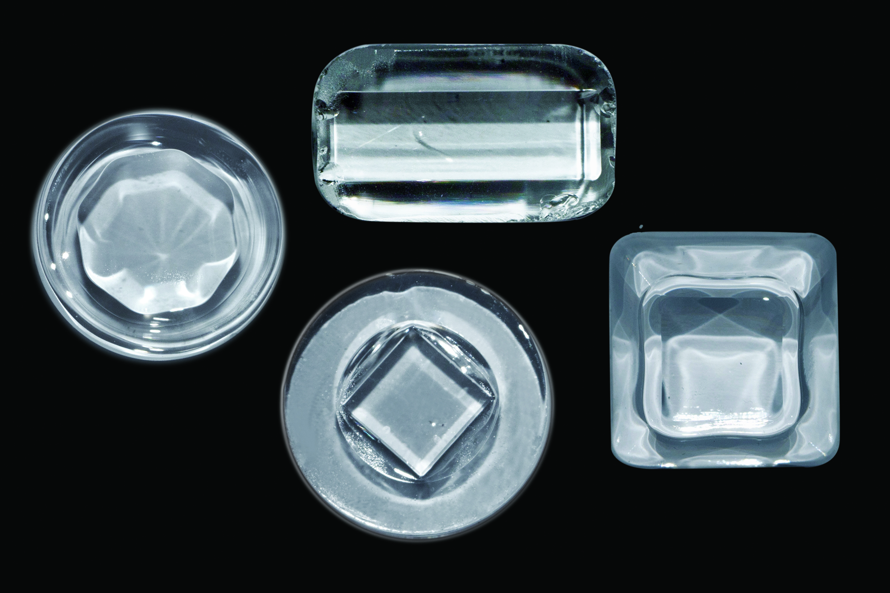 Armadillo Sia 6172f43cc93a8