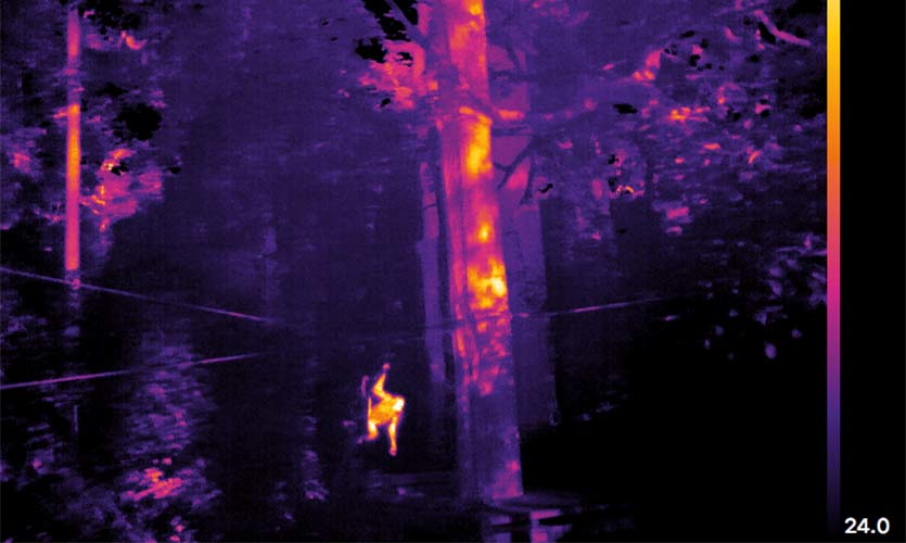 As Earth Day 2019 passes, it is important to acknowledge the role photonics is playing in attempting to sustain life on our planet. For example, thermal imaging is being used to assess and monitor the populations of animals in their native habitats; here, Orangutans in Sabah, Malaysia are being monitored and counted to assess health of the species.