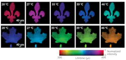 Lifetime images of green (top row) and red (bottom row) upconversion emission bands under different temperatures, captured by SPLIT technology. Lifetime images of green (top row) and red (bottom row) upconversion emission bands under different temperatures, captured by SPLIT technology.