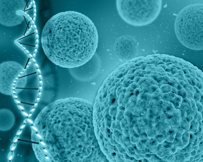 Molecular tests allow doctors to get precise answers about the types of virus and bacteria cells involved in infectious diseases.