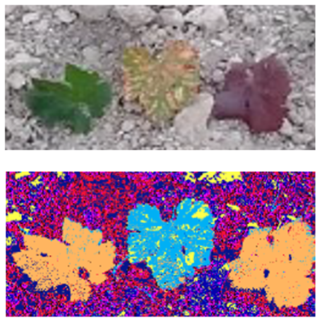 FIGURE 1. Early detection of diseases in vineyards using the SILIOS CMS4-V multispectral camera.