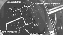 FIGURE 2. In a prototype of the optical clock distribution circuit board designed for the Cray T-90 supercomputer, the fanout points are located at the 48 termination ends of the waveguide network. The H-tree structure formed by the cascaded Y-branch beamsplitters ensures that all the fanout signals have the same power and delay time compared to the input, eliminating skew in the clock signal distribution circuits. FIGURE 2. In a prototype of the optical clock distribution circuit board designed for the Cray T-90 supercomputer, the fanout points are located at the 48 termination ends of the waveguide network. The H-tree structure formed by the cascaded Y-branch beamsplitters ensures that all the fanout signals have the same power and delay time compared to the input, eliminating skew in the clock signal distribution circuits.