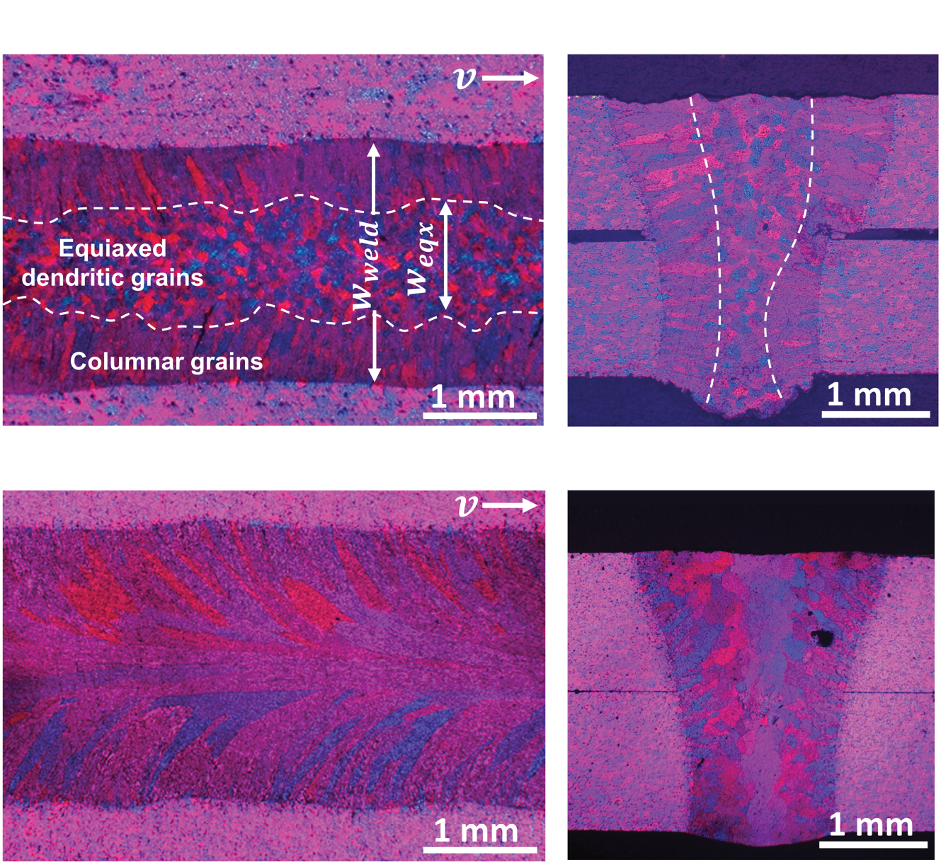 FIGURE 1. Metallographic sections of laser beam welds are geometrically almost identical, but differ strongly in microstructure.