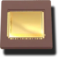 8 Lfw 9 Photonis 62fce0ad8b7ed 8 Lfw 9 Photonis 62fce0ad8b7ed